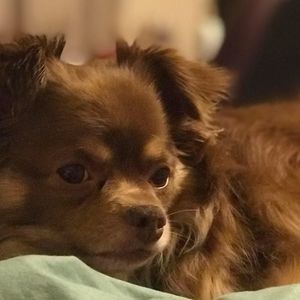 Meet your Posher, Suzanne